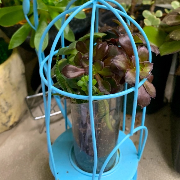 Meet your Posher, Len - Picture 1 of 1